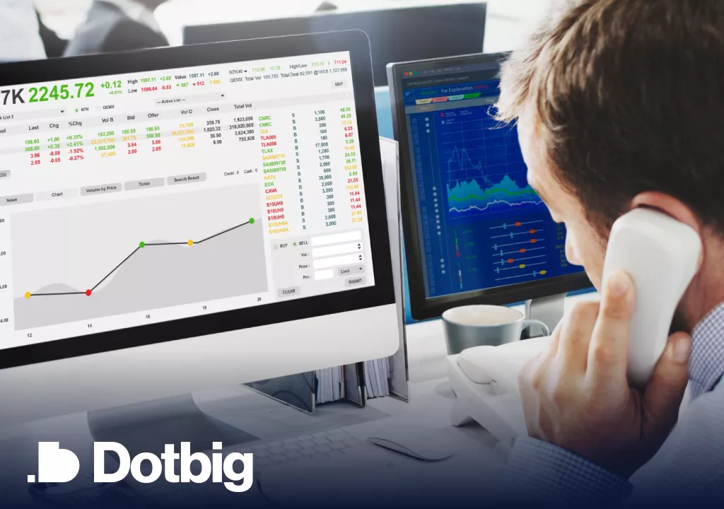 Building a Long-Term Investment Portfolio with DotBig: A Step-by-Step Approach